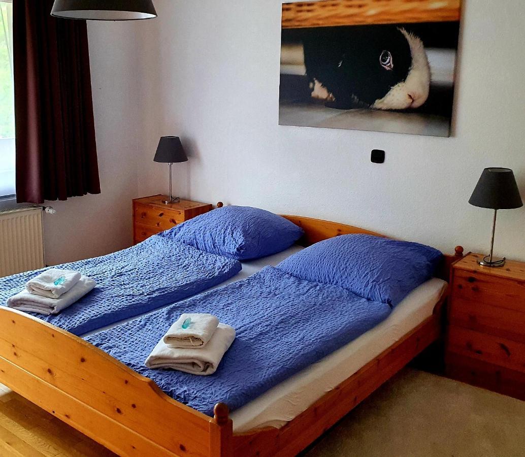 Hotel Gruener Baum Neckargerach Zewnętrze zdjęcie
