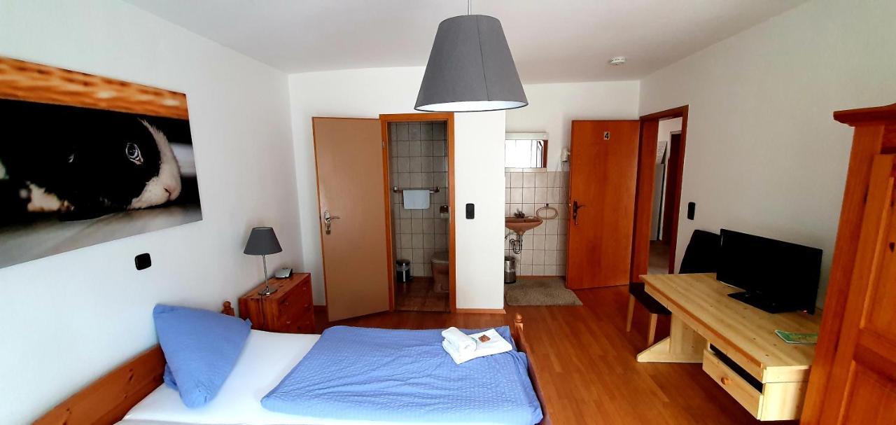 Hotel Gruener Baum Neckargerach Zewnętrze zdjęcie