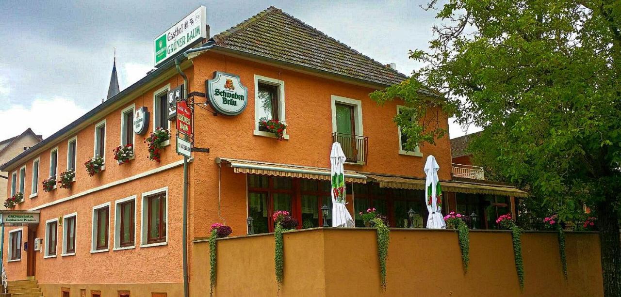 Hotel Gruener Baum Neckargerach Zewnętrze zdjęcie